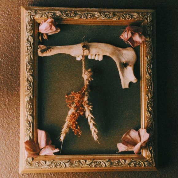 Hello! Welcome to my weird closet! - Picture 11 of 16